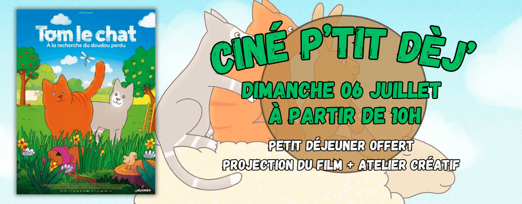 actualité TOM LE CHAT