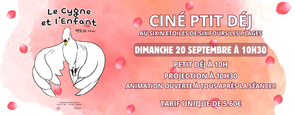 actualité CPD CYGNE