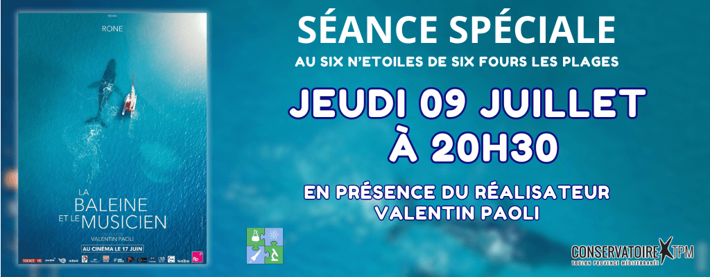 actualité baleine