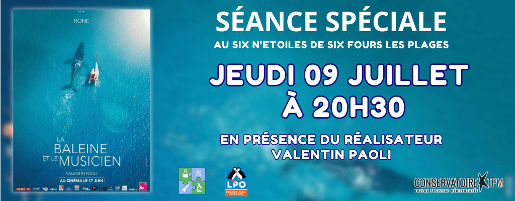 actualité baleine